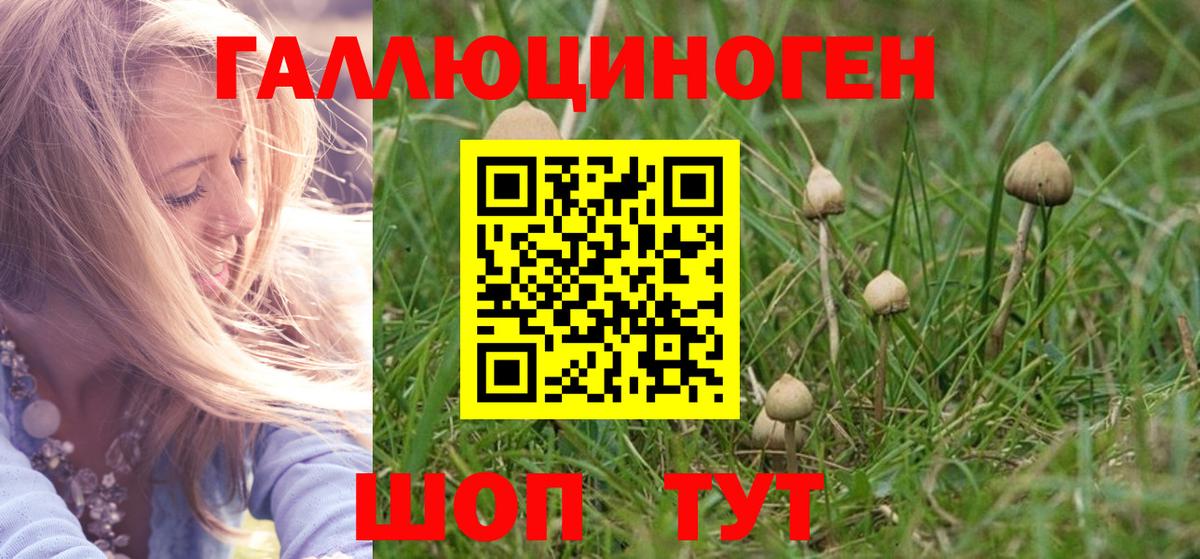 Дербент  Галлюциногенные грибы мицелий  Вход с VPN 