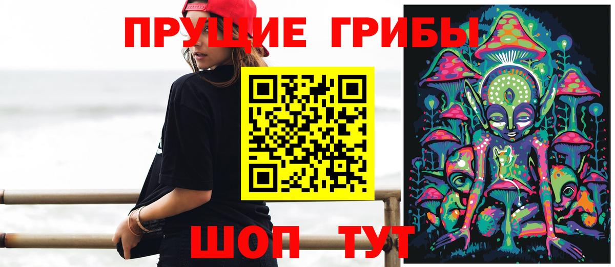 Псилоцибиновые грибы ЛСД Дербент